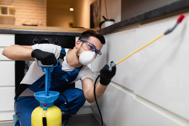 Best Affordable Pest Control Services  in Granbury, TX