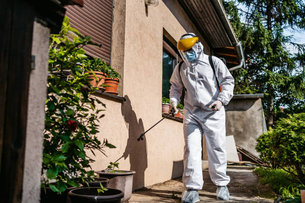 Best Exterminator Services  in Granbury, TX