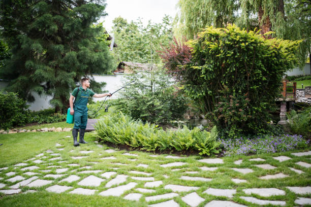 Best Pest Removal Services  in Granbury, TX