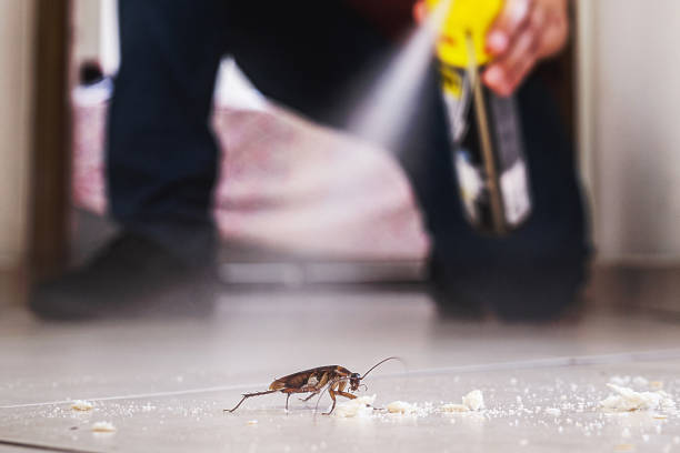 Professional Pest Control in Granbury, TX