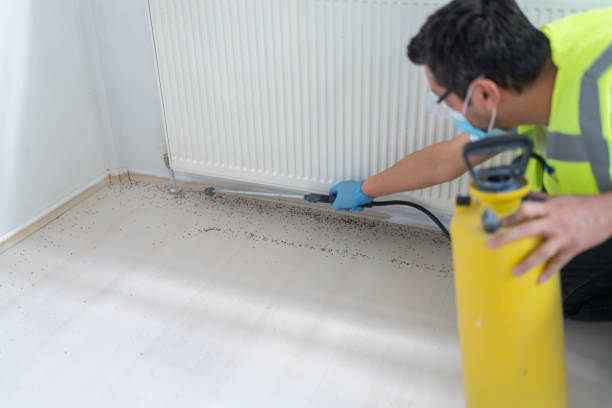Best Pest Prevention Services  in Granbury, TX