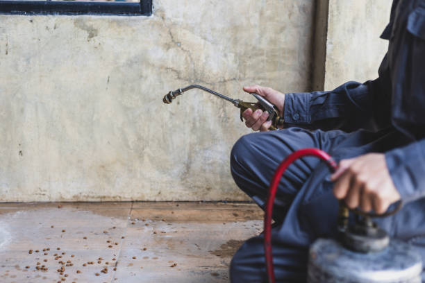 Best Pest Control Near Me  in Granbury, TX